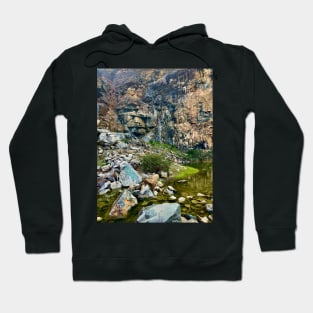 The Wall Of Many Faces Hoodie